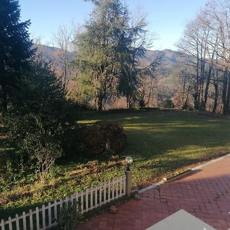 Le Camelie Villa Polverara Kültér fotó