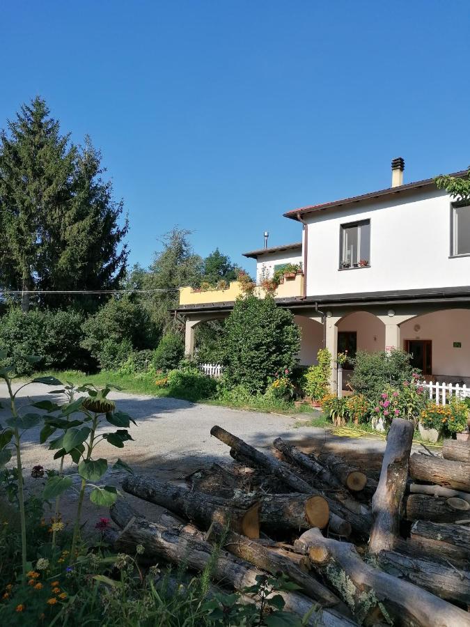 Le Camelie Villa Polverara Kültér fotó