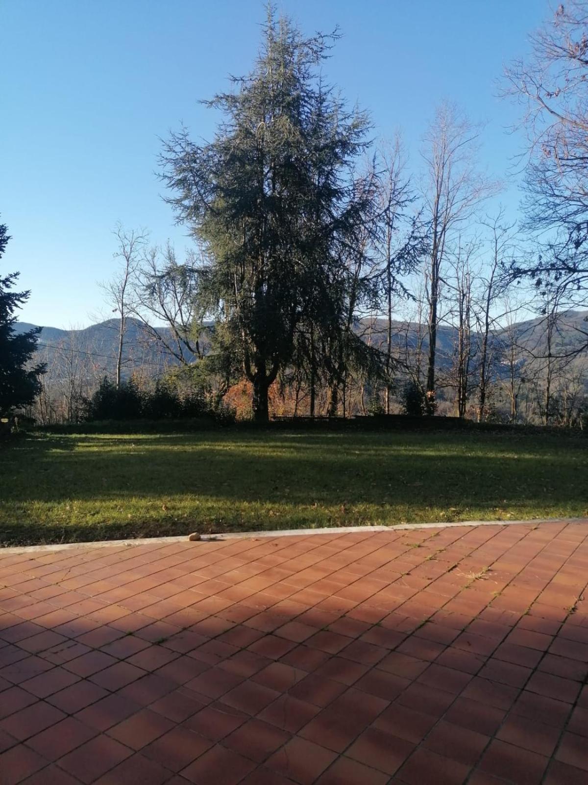 Le Camelie Villa Polverara Kültér fotó