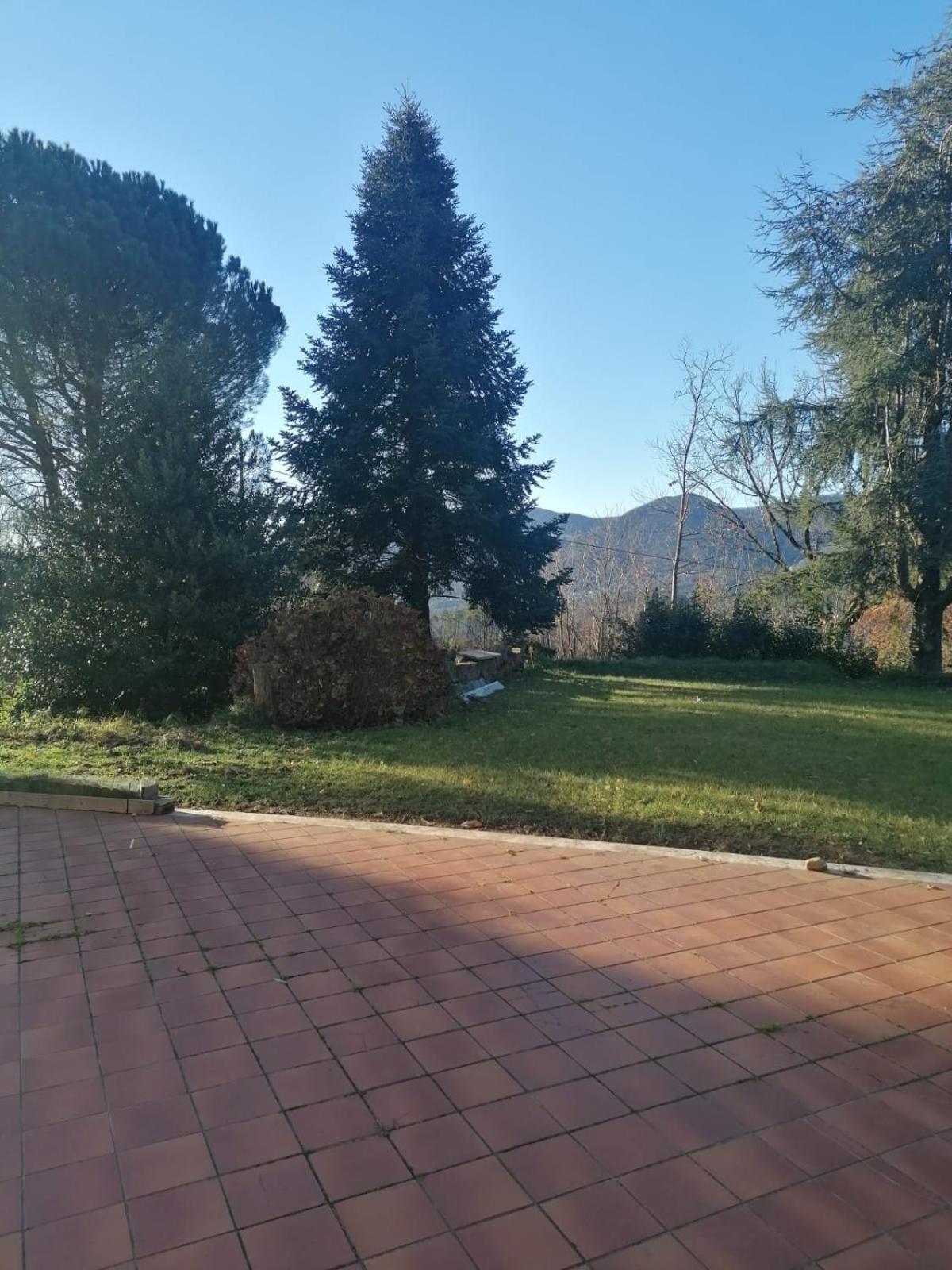Le Camelie Villa Polverara Kültér fotó
